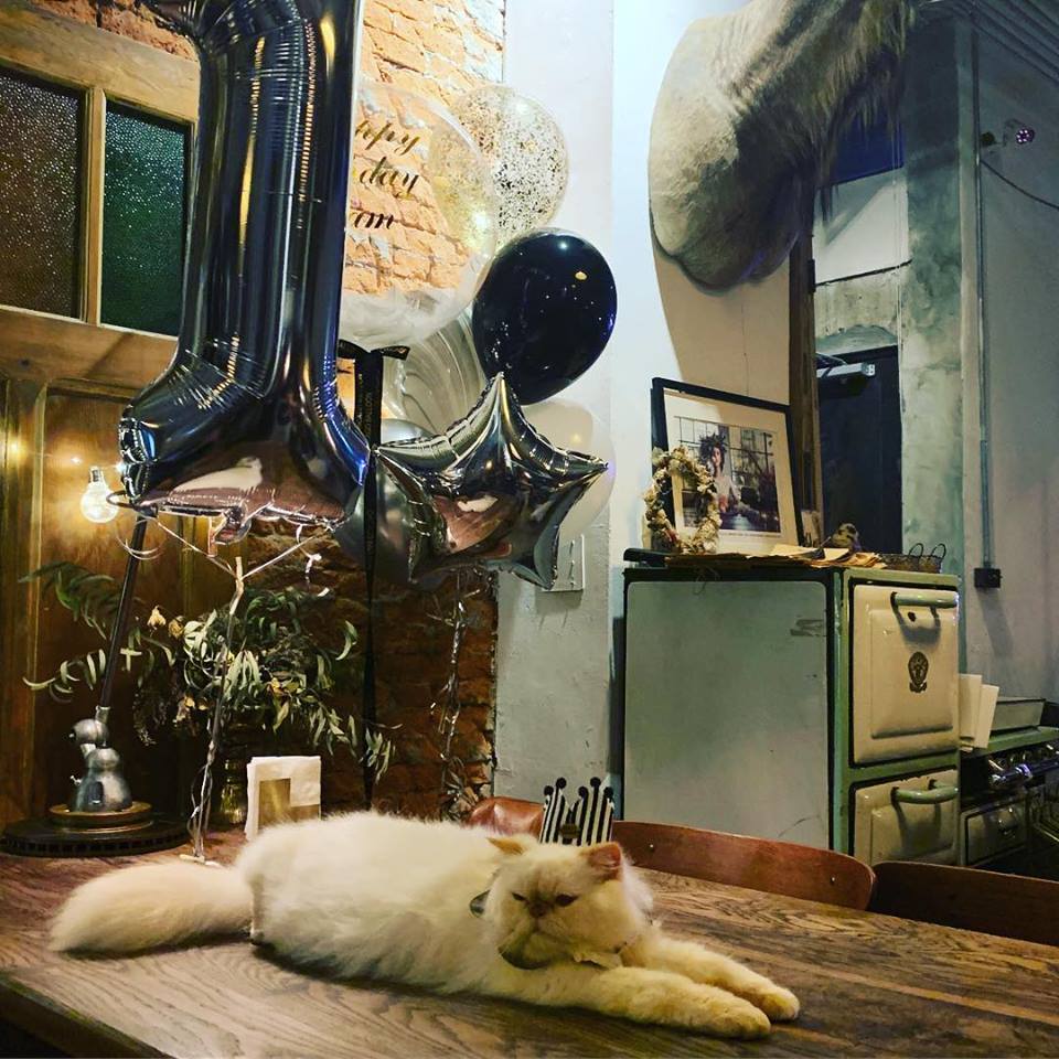 Truffles Living