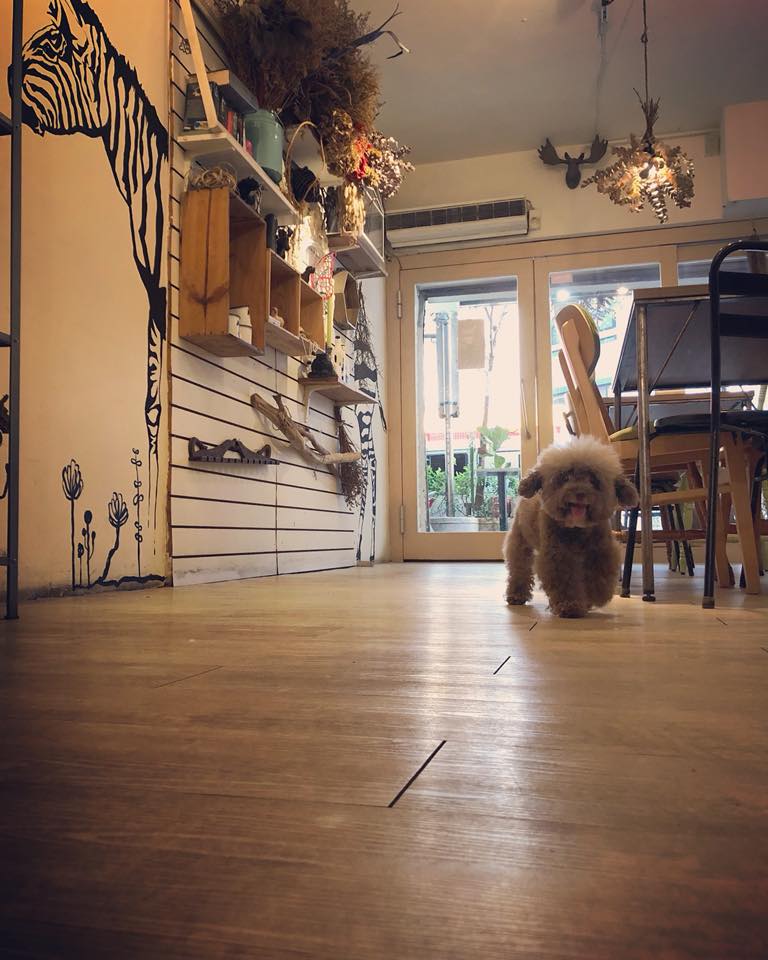 ZOO CAFE