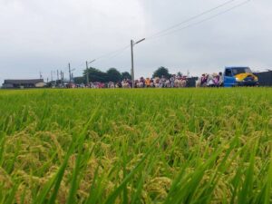 無用福利社 ft.Rimuy